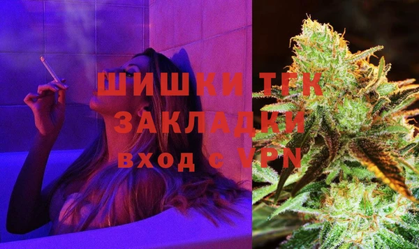 молекула духа Арсеньев