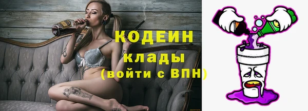 молекула духа Арсеньев