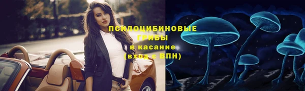молекула духа Арсеньев