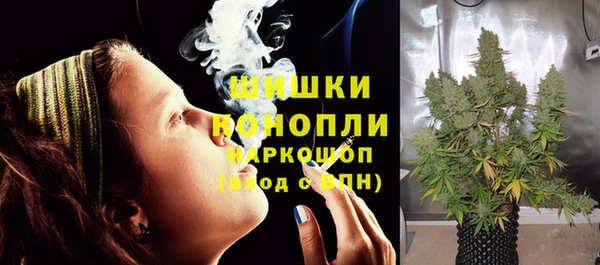 молекула духа Арсеньев