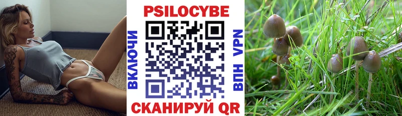 цена   Богородск  Псилоцибиновые грибы ЛСД 